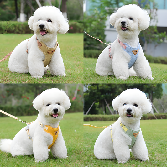 Adjustable Cat Vest Harness