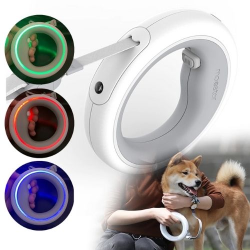 Hundeleinenring LED
