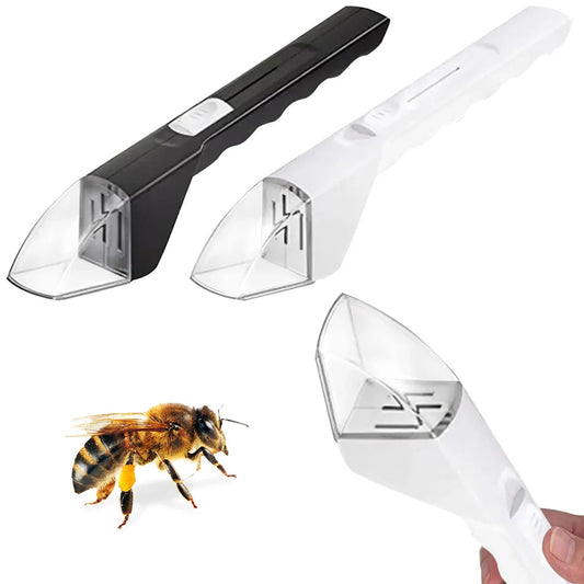 Tragbarer transparenter Insektenfänger