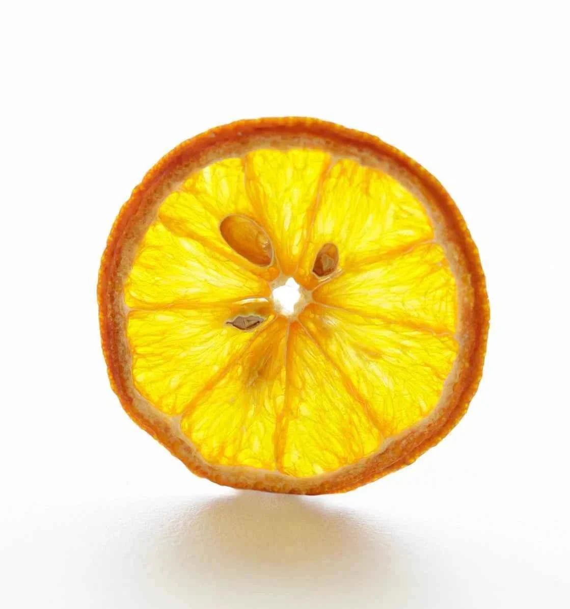 Torkade citrusfrukter för cocktails - 4 Pack