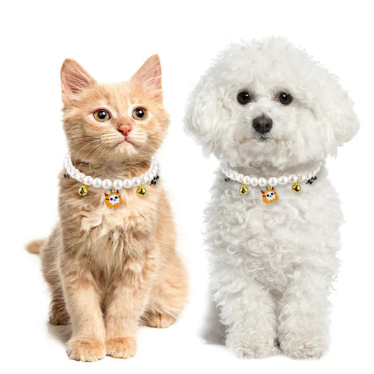 What Your Dog and Cat Are Really Thinking
