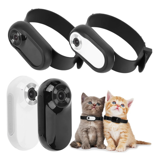 Kamerahalsband für Katzen und Hunde
