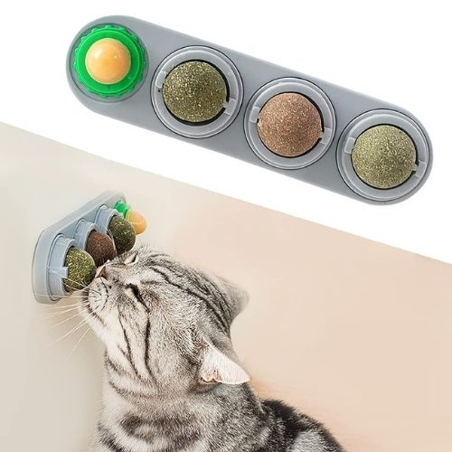 Katzenminze-Wandball