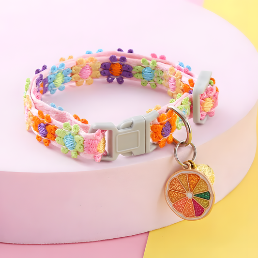 Colorful Cat Collar