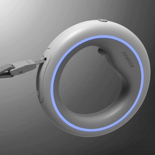 Hundeleinenring LED