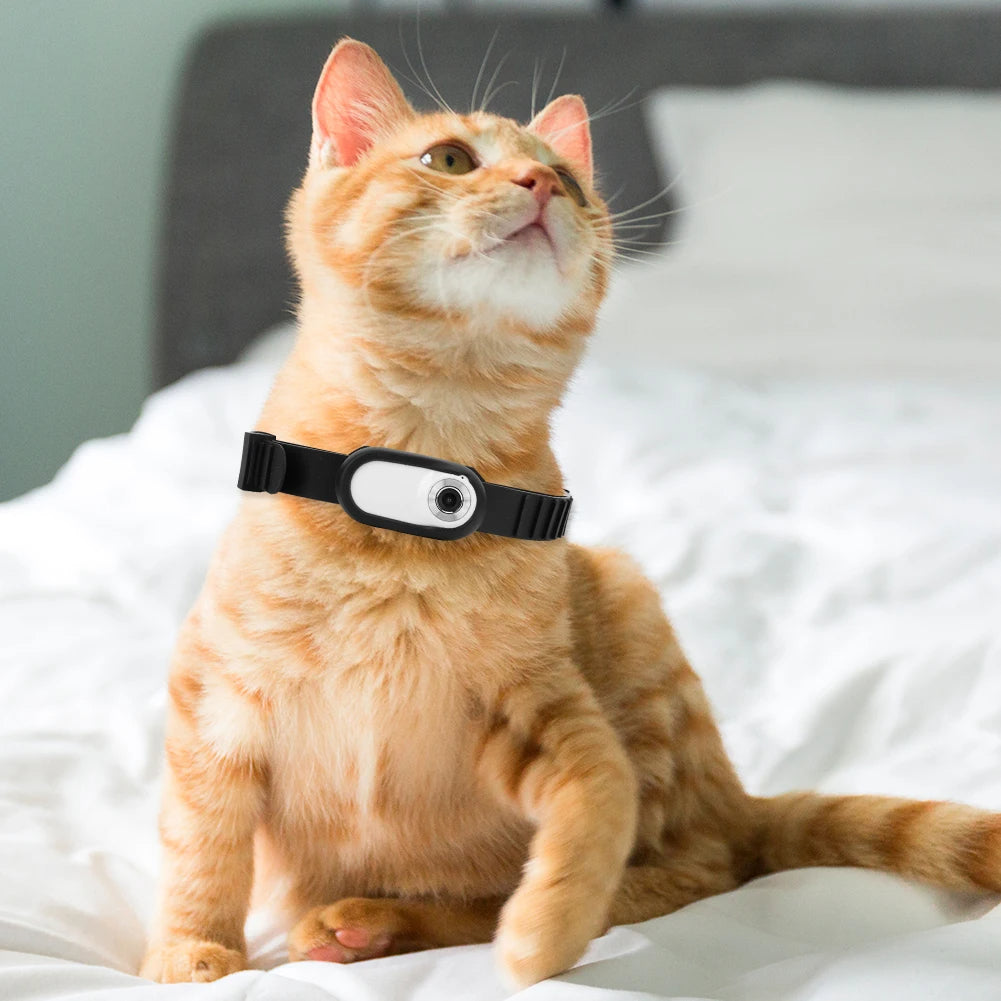 Kamerahalsband für Katzen und Hunde