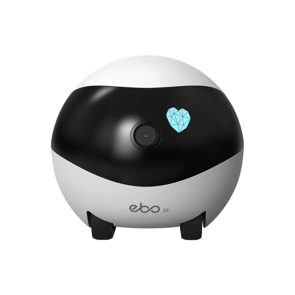 Remote Camera Robot