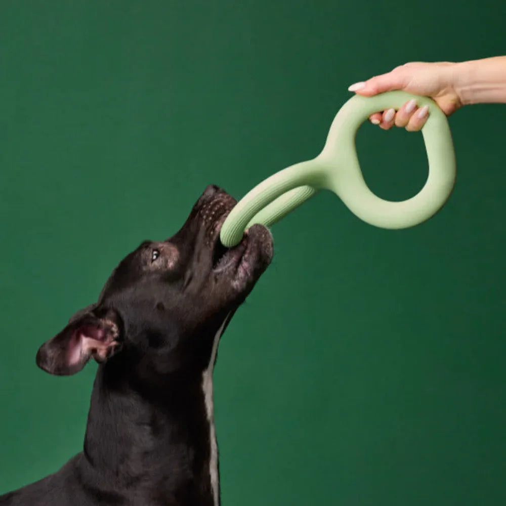 Interactive Rubber Pet Dog Bite Pull Toy