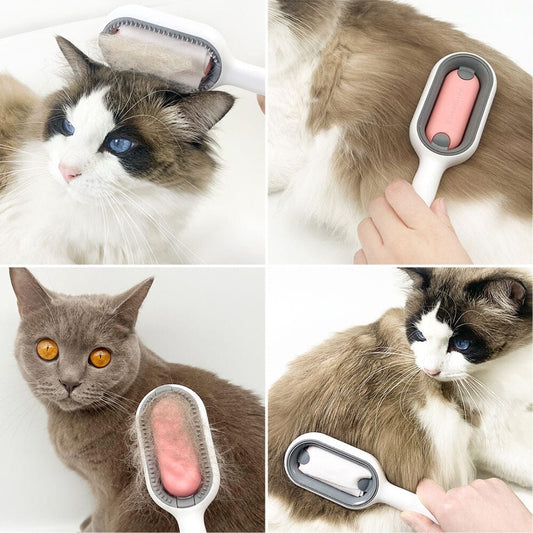 Blötborsten – Bürsten Sie Ihre Katze sicher!