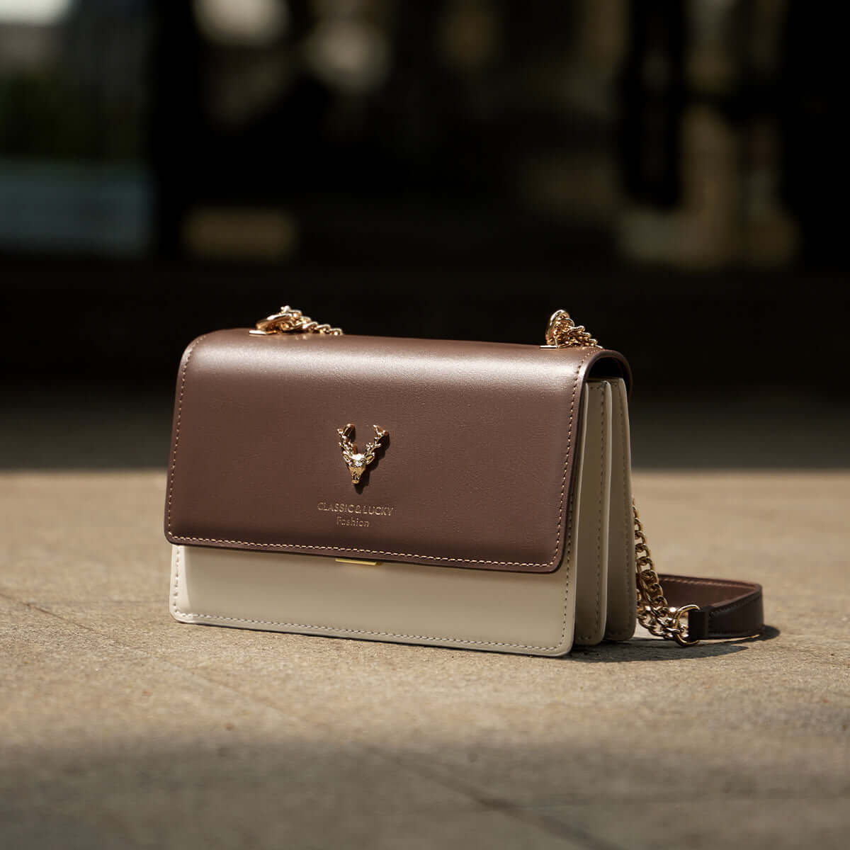 Kylie Double Chained Leather Shoulder Bag-2