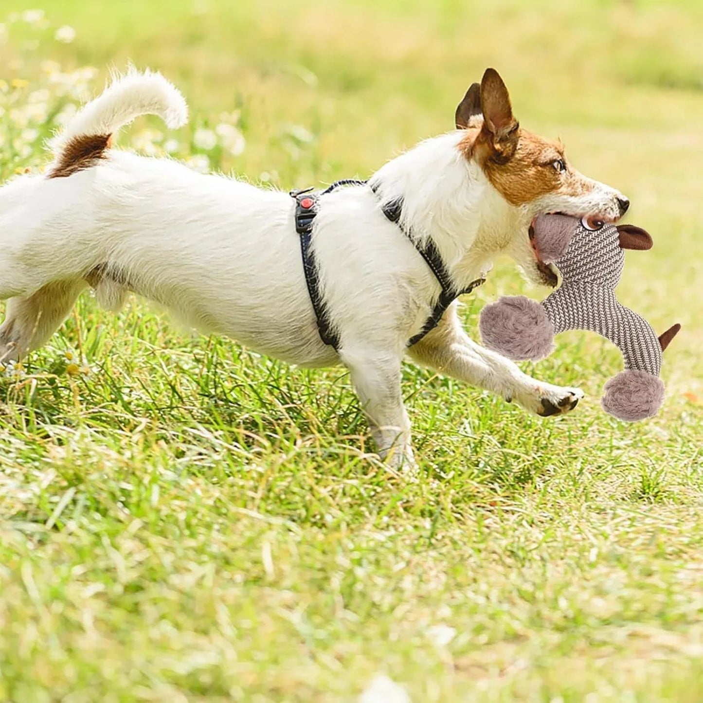 Large Squeaky Stuffed Animals Dog Plush Chew Toys