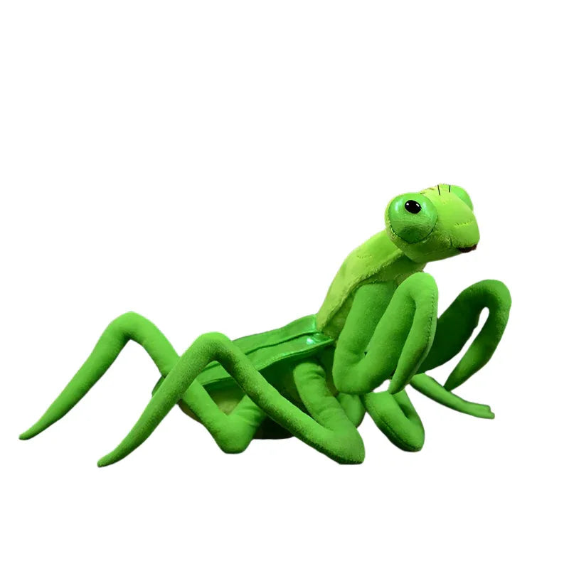 Lifelike Mantis Plush Toys Stuffed Animals For Kids