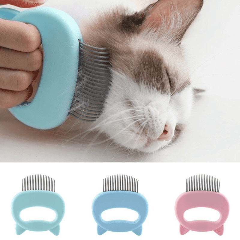 Massagekam för katter