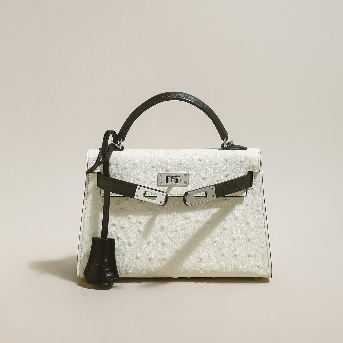 Swift Textured Leather Structured Top Handle Bag-5