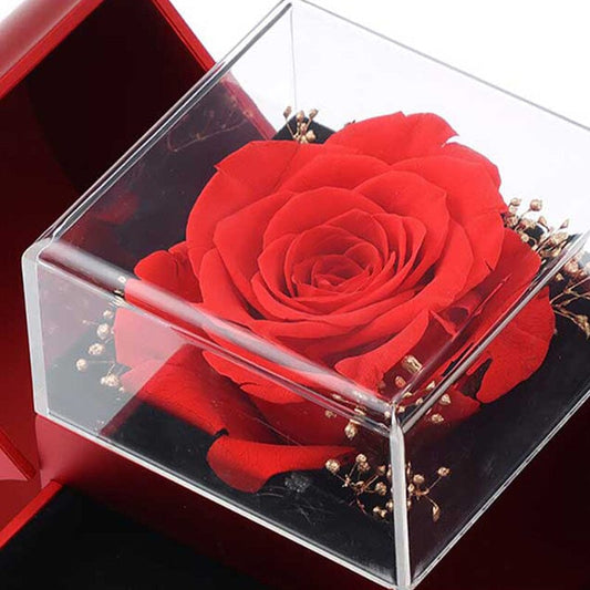 Für Meine Liebe - Halskette - Mit echter Rose - Geschenk für sie